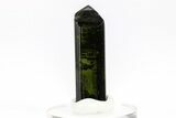 Gemmy, Sharply Terminated Green Elbaite Tourmaline - Brazil #209803-1